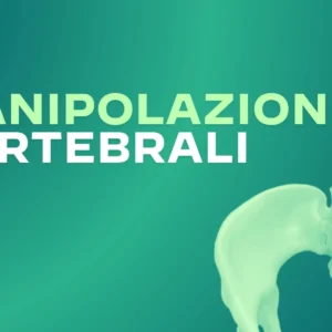Manipolazioni Vertebrali (HVLAT)
