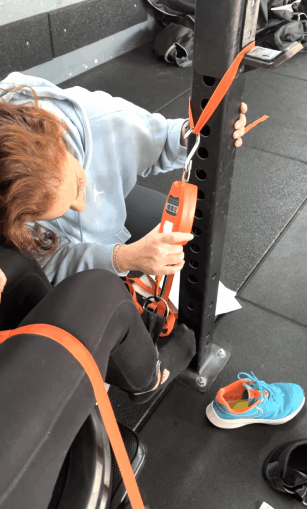 Lower Limb Assessment