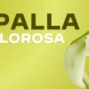 Spalla dolorosa: dal trattamento conservativo alla chirurgia