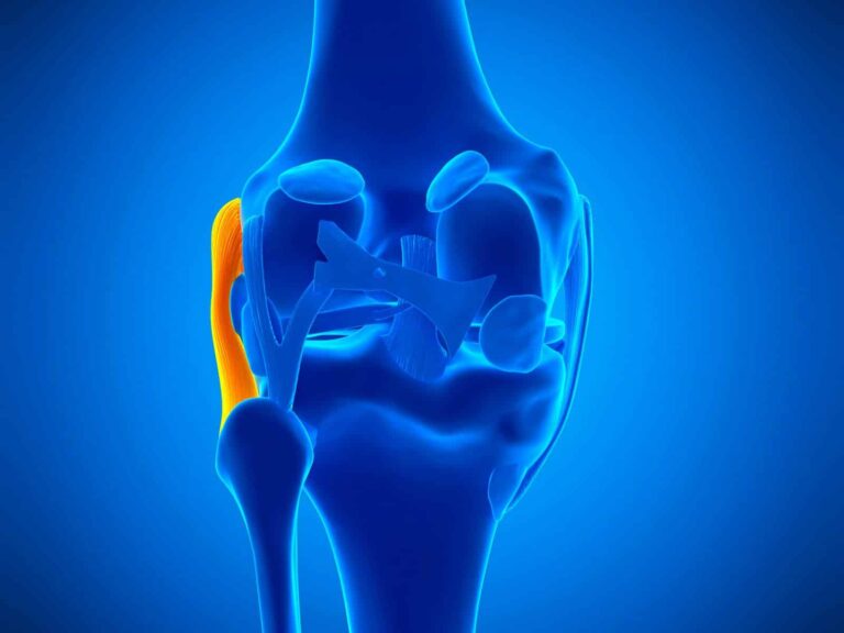 legamento collaterale laterale