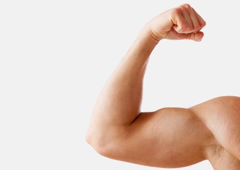 lesione bicipite brachiale