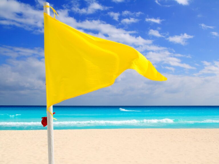 yellow flag in fisioterapia